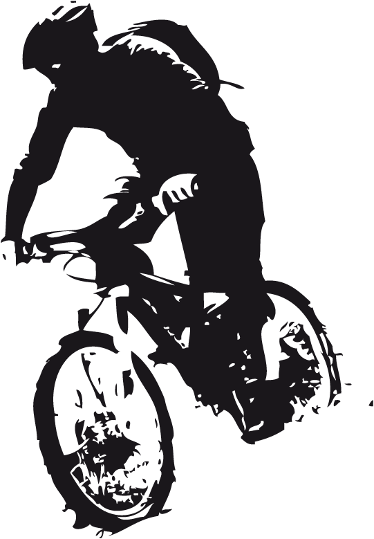 VTT