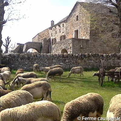 Ferme Caussenarde